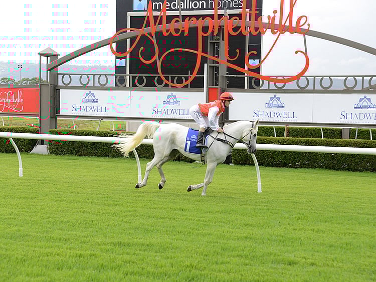 1.1688557-4160362642