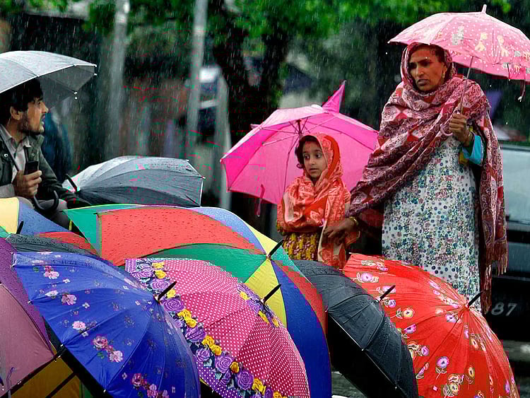 1.1689531-1724535080