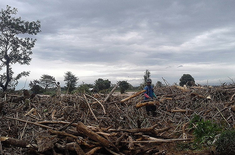 1.1689853-1362574664