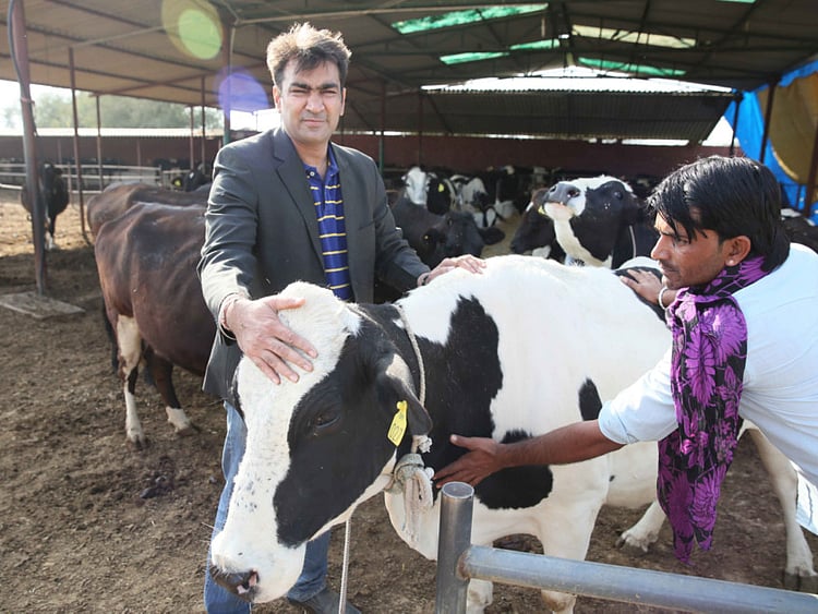 1.1691621-2152823370