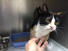 1.1692831-1281201751