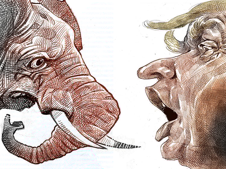 1.1682568-2817326799