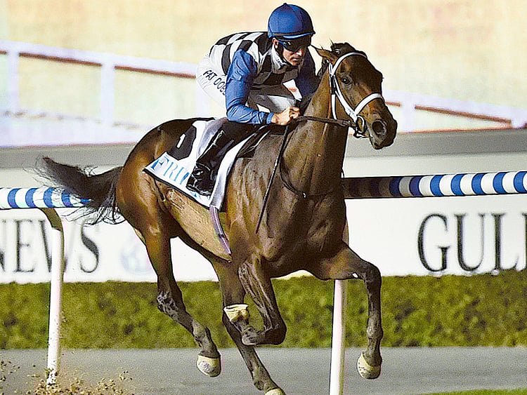 1.1683222-1613485230