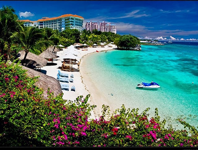 1.2008774-4236162077