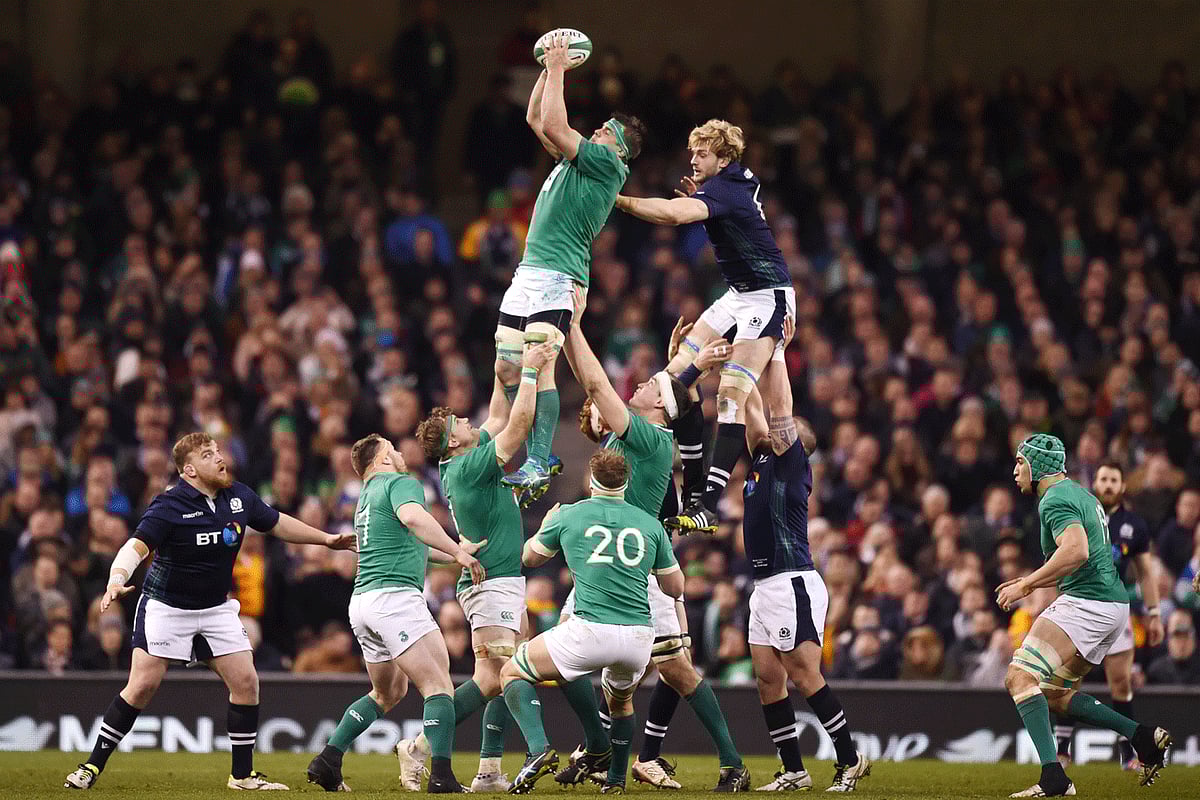 1.1693527-3919854940