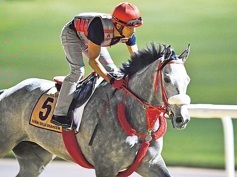 Virendra Saklani/Gulf News