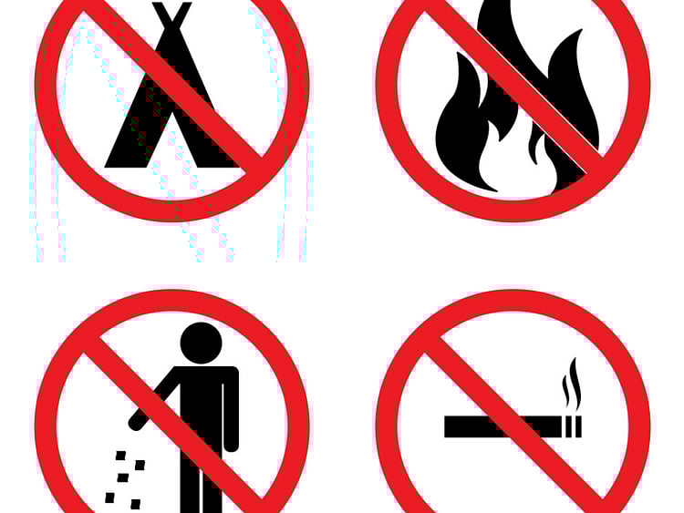 1.1694498-2097772133