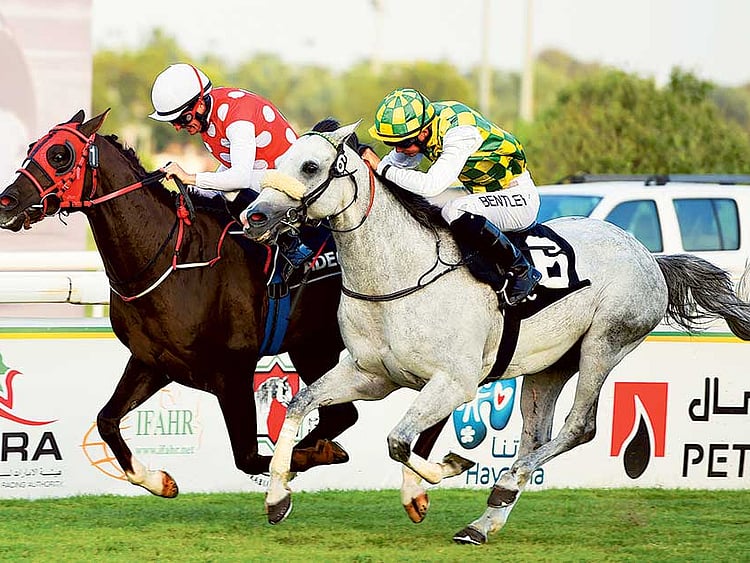 1.1694705-3172286202