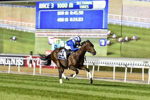 1.1696881-1539805050