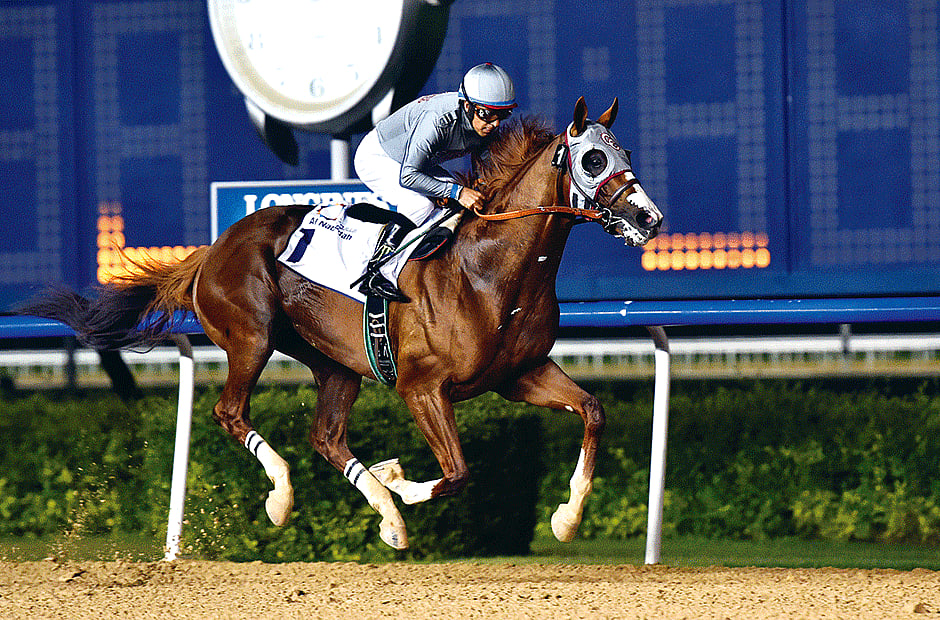 1.1697336-2301147339