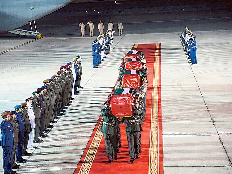 1.1696332-4101532769