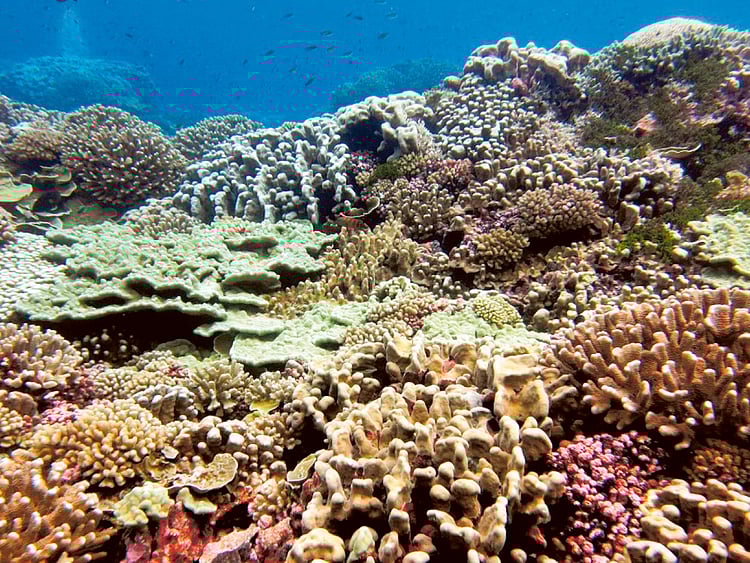 1.1698082-1145243642