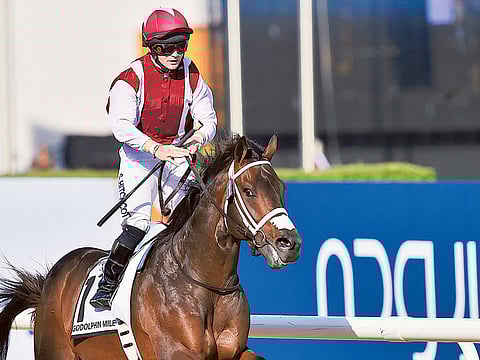 Clint Egbert/Gulf News