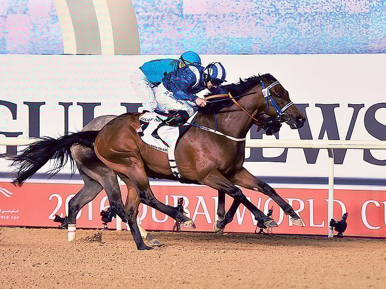 1.1698403-3331985847