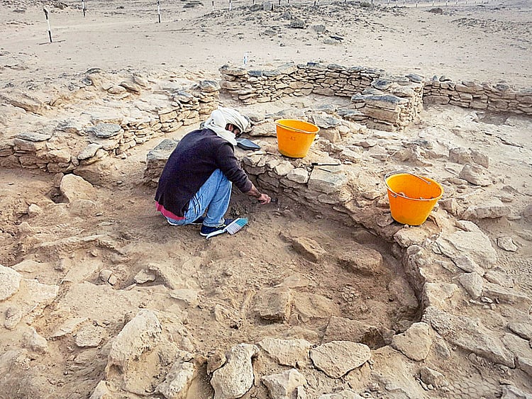 1.1698860-2737274333