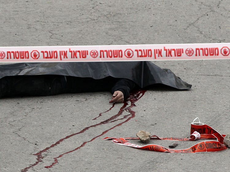 1.1698940-2058163578