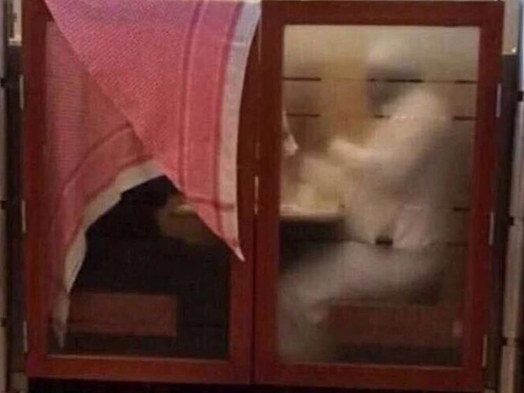 1.1698687-3527618019