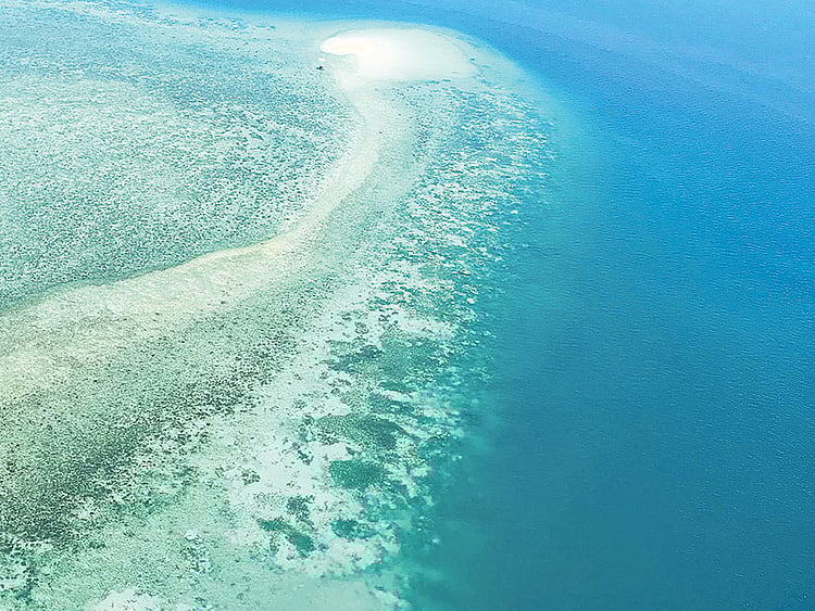 1.2213390-1876501868