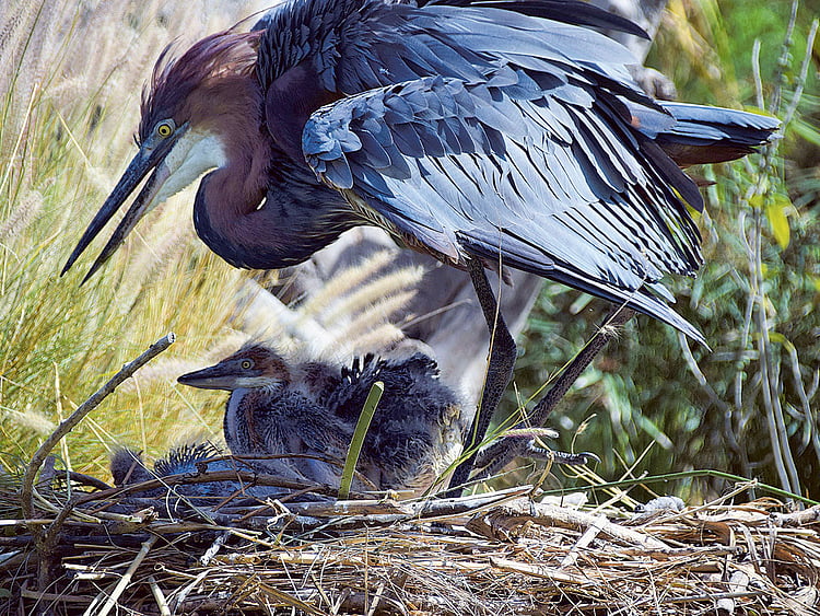 1.1701126-3292909062