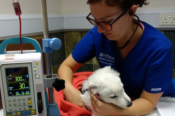 1.1701027-1268386417