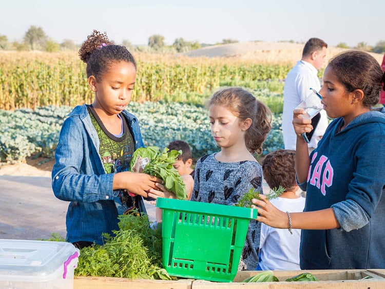 1.1701220-2351282103