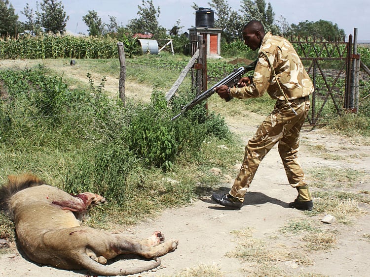 1.1702044-2023779290