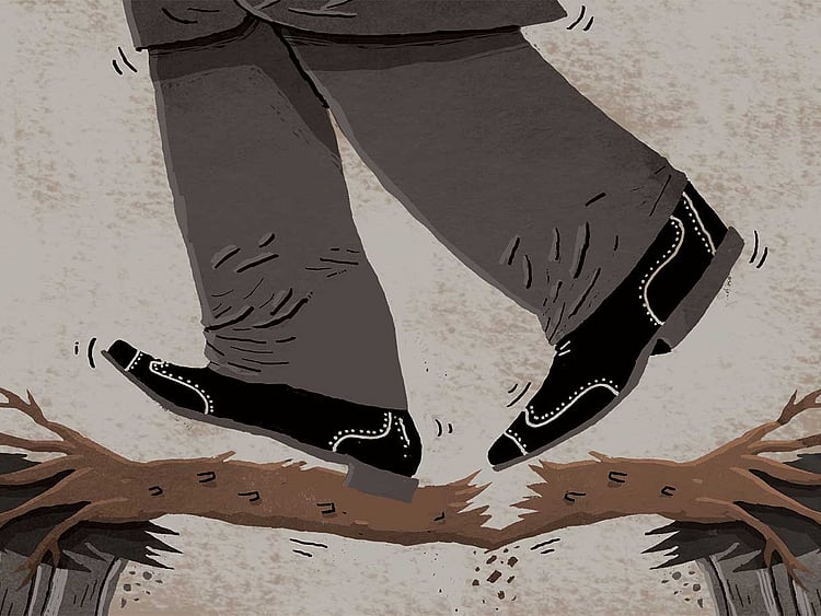 1.1684667-1233480246