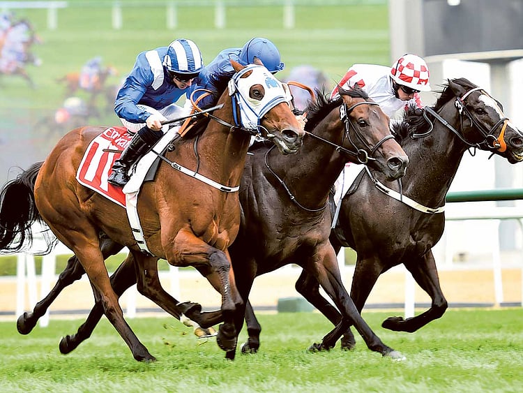 1.1684766-3655806653