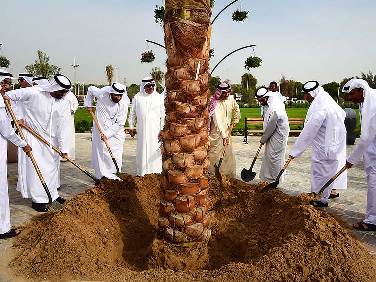 1.1685129-1402247371