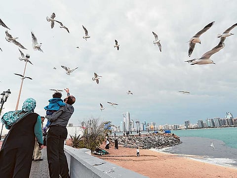 File photo: Residents enjoy the weather at the break-water in Abu Dhabi.