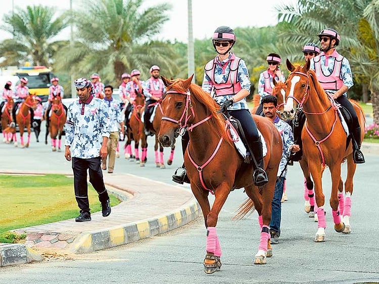 1.1686365-2084048722