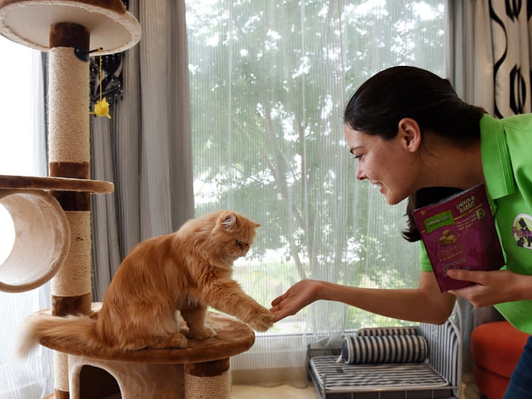 1.1687454-3564620545