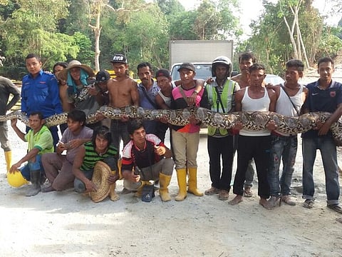 Herme Herisyam, Malaysia’s Civil Defence Force
