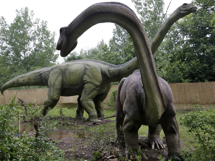 1.1710971-1496613743