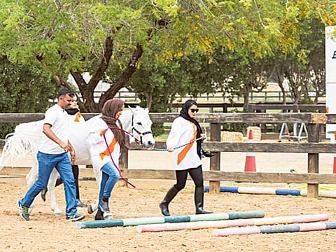 Dubai Women Establishment