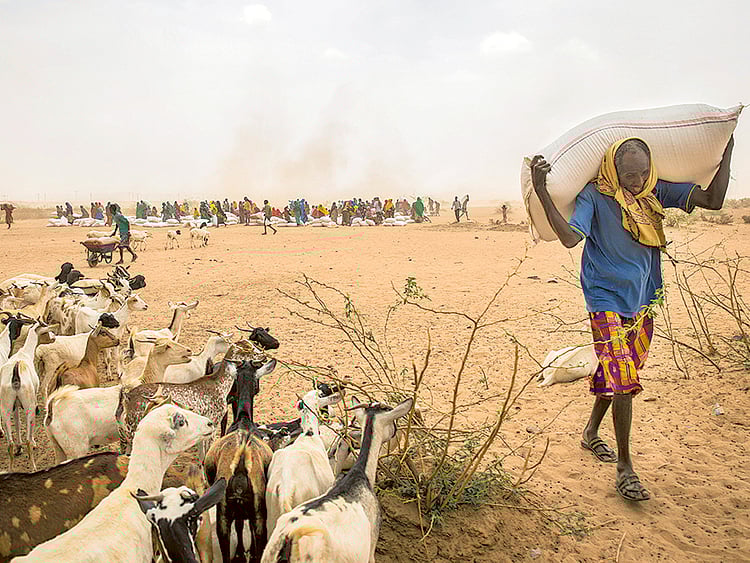 1.1715453-3276651251