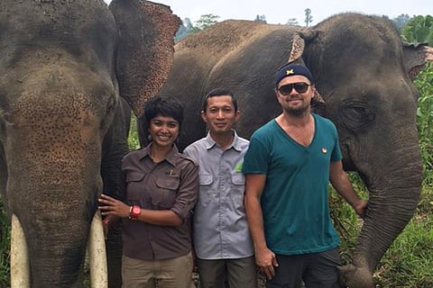 Leonardo DiCaprio could be banned from Indonesia
