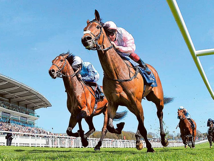 1.1718212-3166132050