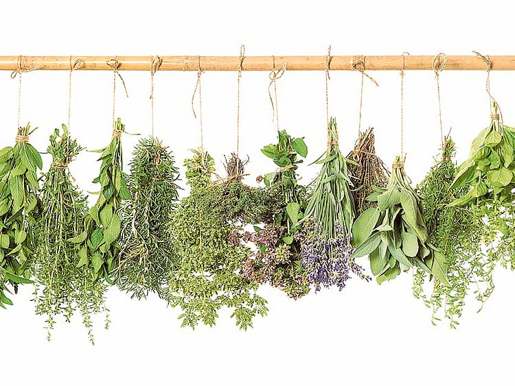 1.1810840-2149055932