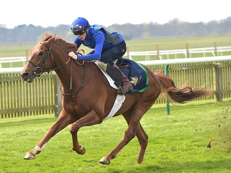 1.1813710-4176111037