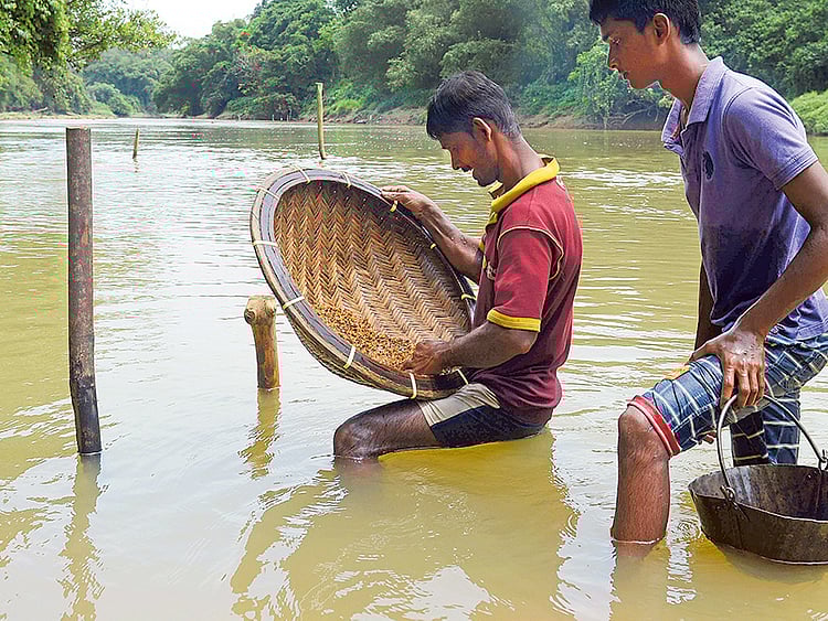 1.1812997-1370683287