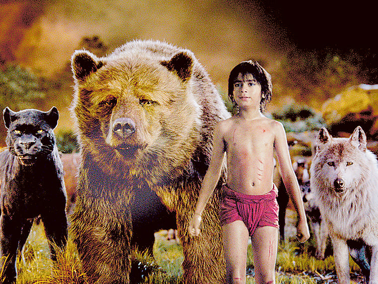 1.1814891-1545710452