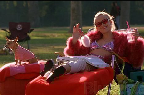 1.1703555-3873774851