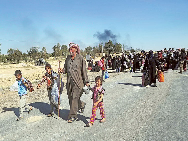 1.1705893-1003623153