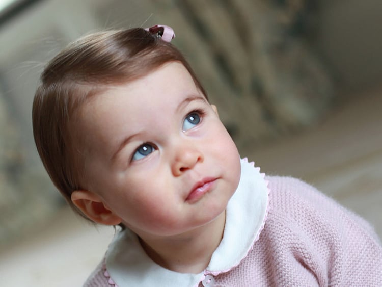 1.1816202-2234247277