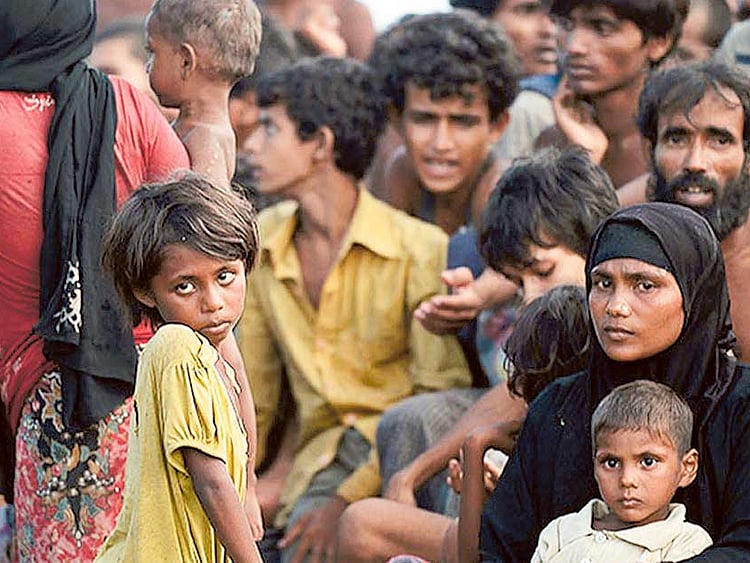 1.2084842-2296409950