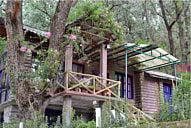 Unique musical meditation retreat in Himalayas