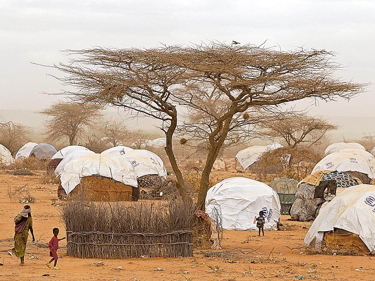 1.1826444-2625746023