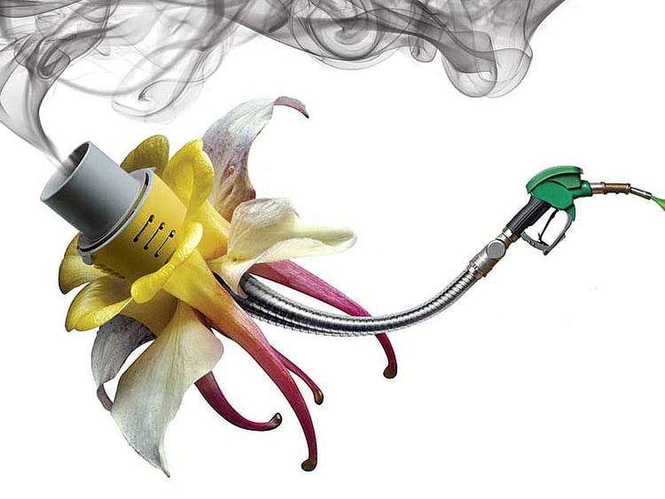 1.1830083-4231382169