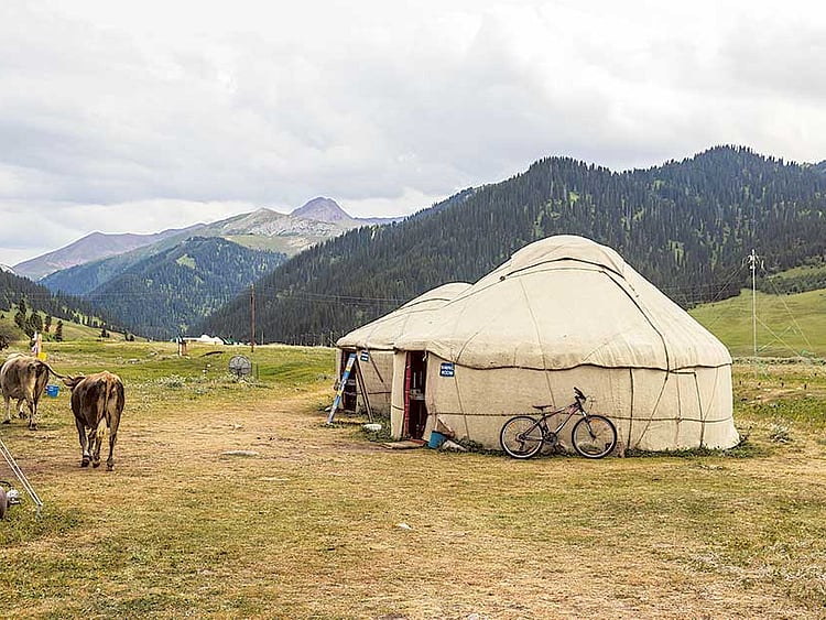 1.1830202-3457720006